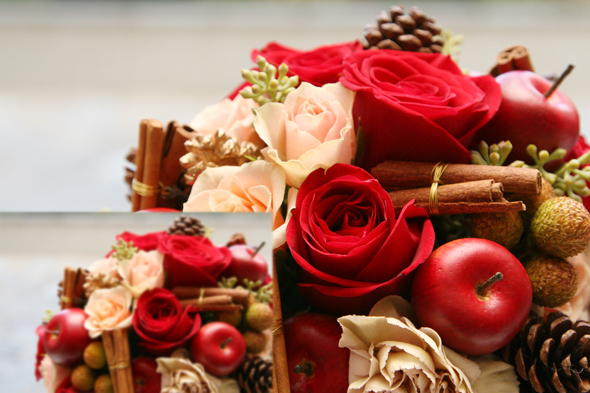 ハイビジョン画質と標準画質の比較